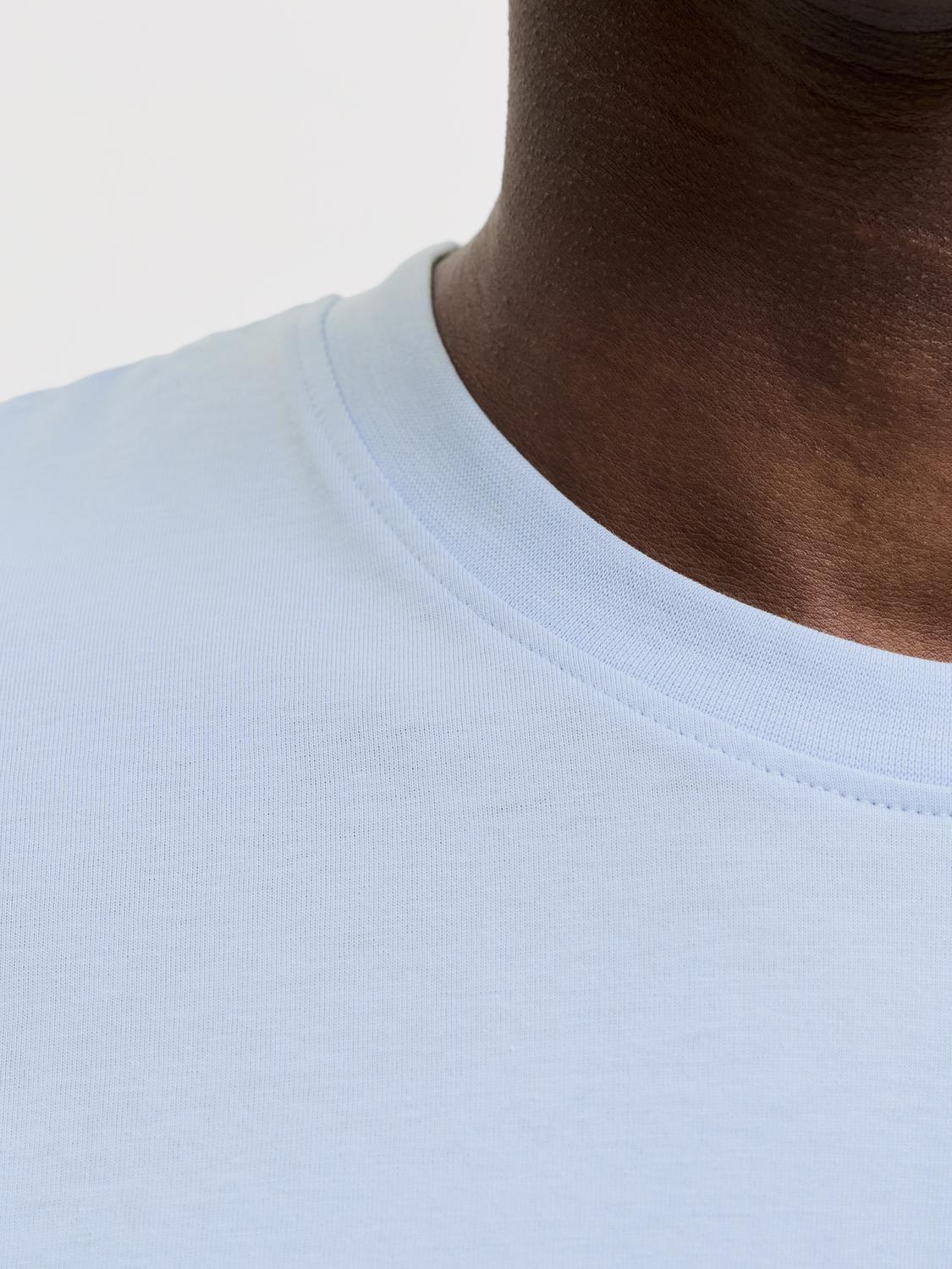 model_shot-detail